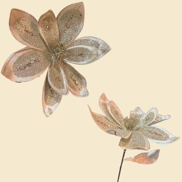 Flor champagne