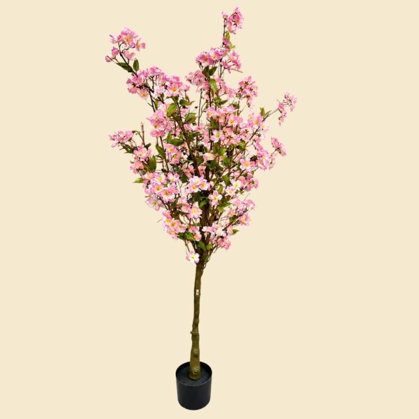 Planta de cerezo japonés