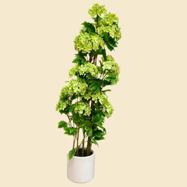Planta de hortensias verdes
