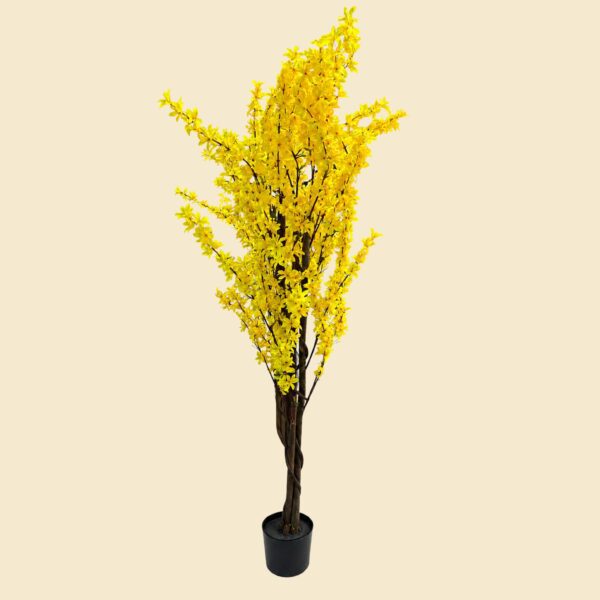 Planta jazmín amarillo