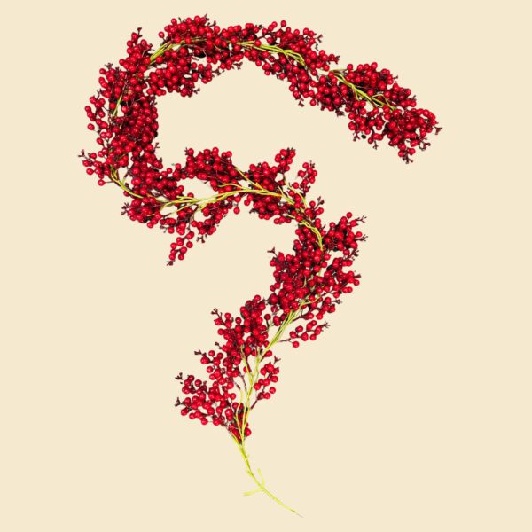 Rama berries